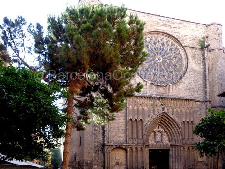 Basilica of Saint Mary of the Pine Tree (Basílica de Santa Maria del Pi) Barcelona